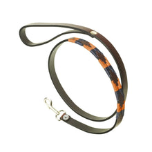 Leather Dog Collar & Lead - Audaz by Pampeano Accessories Pampeano   