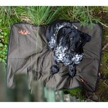 Dog Blanket - Dark Olive by Blaser Accessories Blaser   