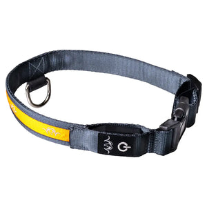 Dog LED Collar by Blaser Accessories Blaser   