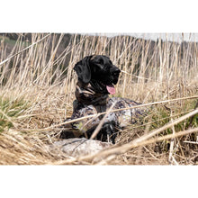 Dog Poncho - HunTec Camo by Blaser Accessories Blaser   