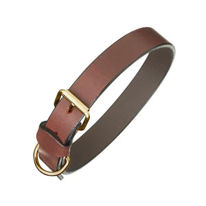 Plain Brown Leather Dog Collar & Lead by Pampeano Accessories Pampeano   