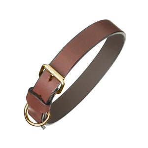 Plain Brown Leather Dog Collar by Pampeano Accessories Pampeano M / 50CM L / 2.5CM W  