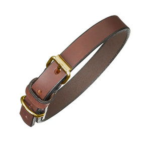 Plain Brown Leather Dog Collar by Pampeano Accessories Pampeano S / 45CM L / 1.5CM W  