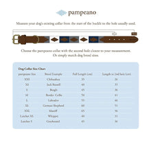 Plain Brown Leather Dog Collar by Pampeano Accessories Pampeano   