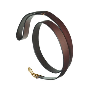 Plain Brown Leather Dog Lead by Pampeano Accessories Pampeano   