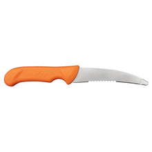 Professional Gutting Knife by Blaser Accessories Blaser   