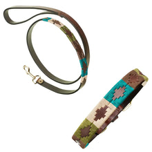 Leather Dog Collar & Lead - Terraqueo by Pampeano Accessories Pampeano M / 50CM L / 2.5CM W Skinny 